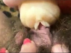 Extreme close up on her pussy taking toys