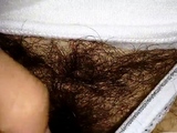 my girl very hairy in transparent white lingerie